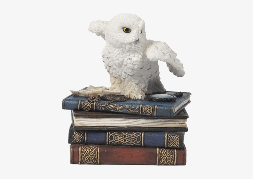 Snow Owl Flapping Wings On Books Trinket Box - Veron 5" Snow Owl W/ Books Statue Trinket Box Wild, transparent png download