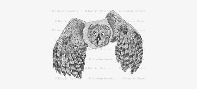 Ooievaar Met Tweeling Patroon Foto Thumb - Flying Great Grey Owl Art Print Travel Mug, transparent png download
