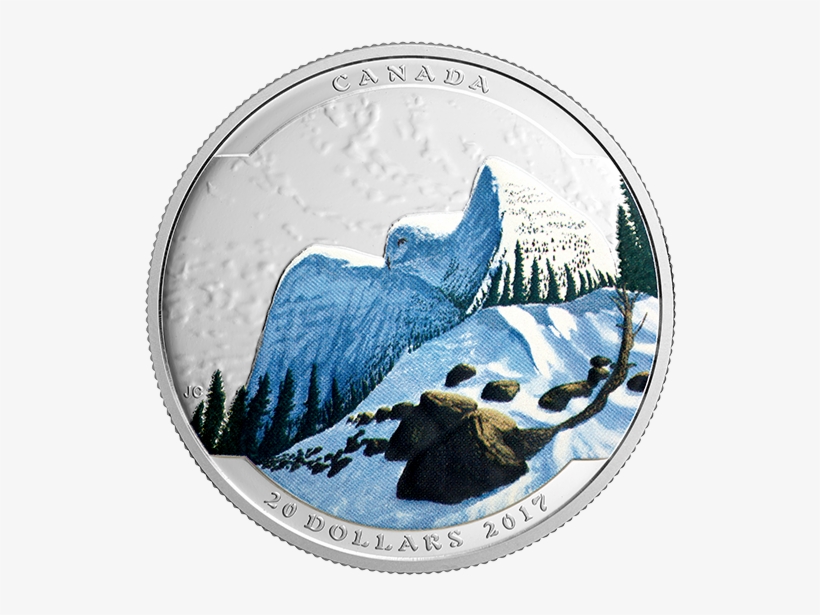 Pure Silver Coloured Coin Landscape Illusion - 2017 Fine Silver 20 Dollar Coin - Landscape Illusion:, transparent png download