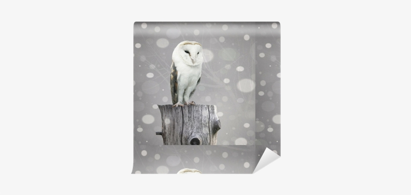 Lechuza De Nieve, transparent png download