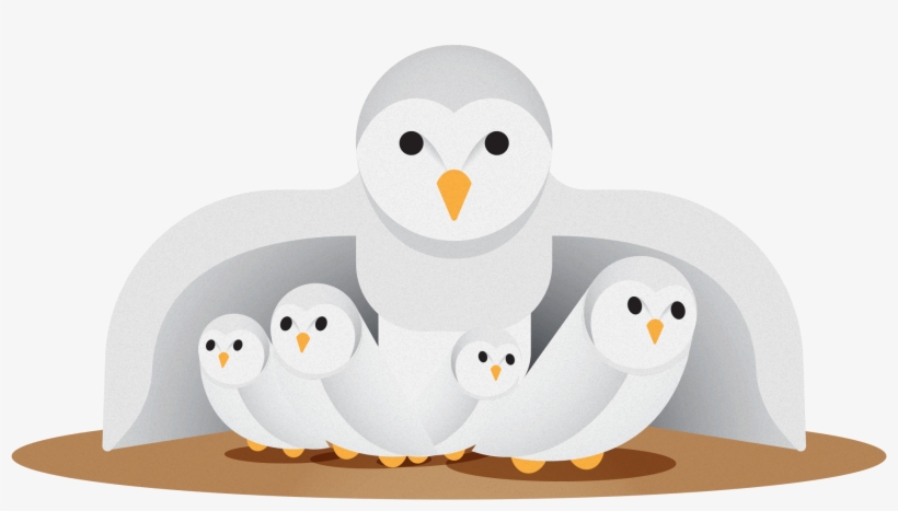 Owl Protecting Her Owlets - Cartoon, transparent png download