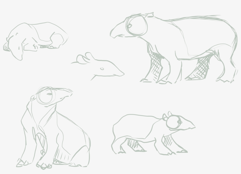 Tapir Sketches - Tapir, transparent png download