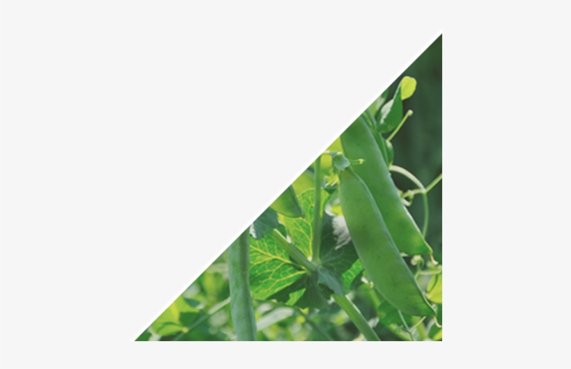 Slot1b Touch - Mobile Phone, transparent png download