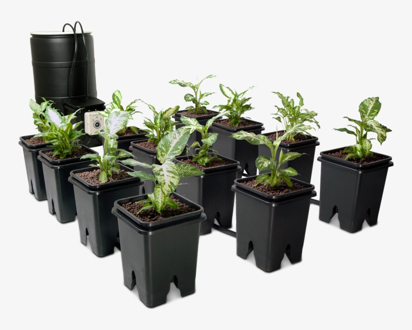 Grow Flow Ebb & Flow System - Ebb Flow System, transparent png download