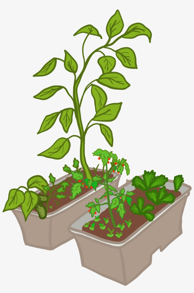 What Is A Vermi-composting Kit - Flowerpot, transparent png download