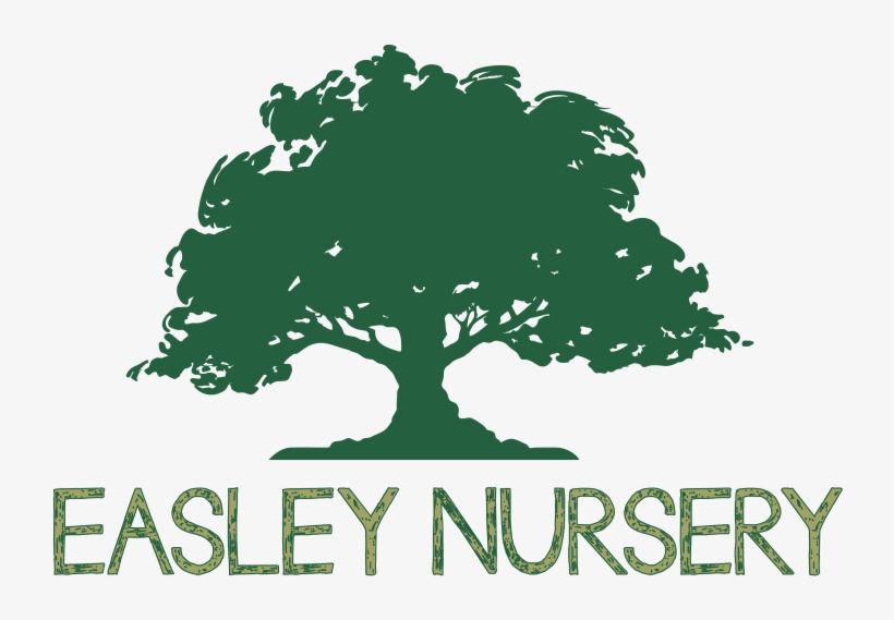 Growing Plants & Flowers For Landscaping & Gardening - Tys Lawn Care, transparent png download