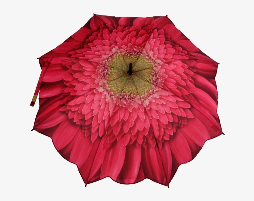 Flower Umbrellas - Gerbera Daisy Pink Folding Umbrella, transparent png download