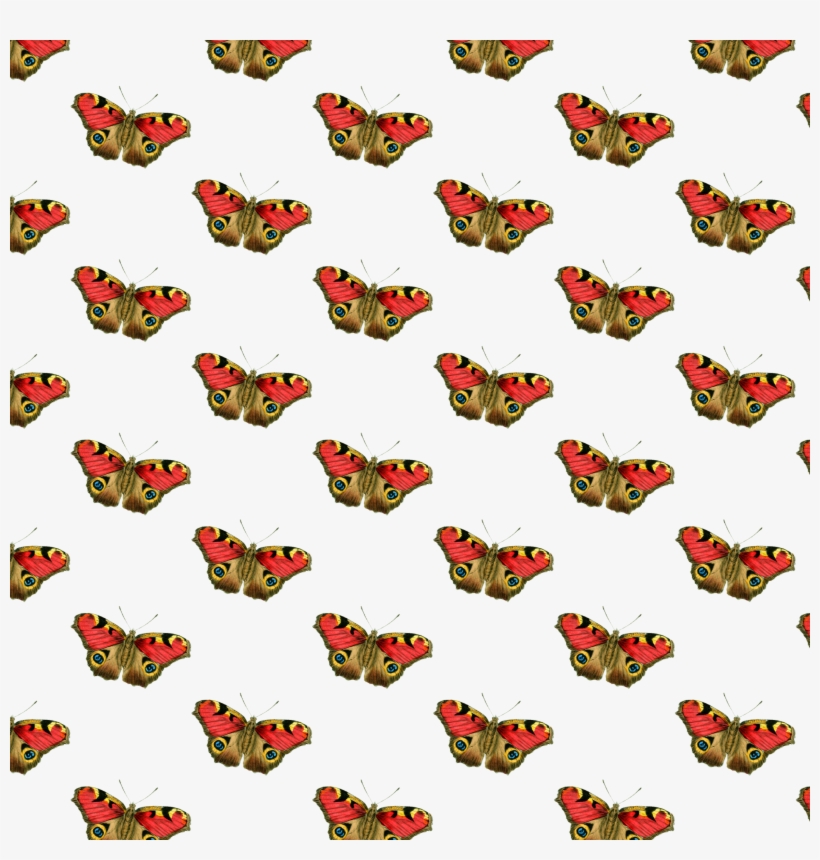 Free Butterfly Png Overlay Courtesy Of Hgdesigns - Allah Büyük, transparent png download