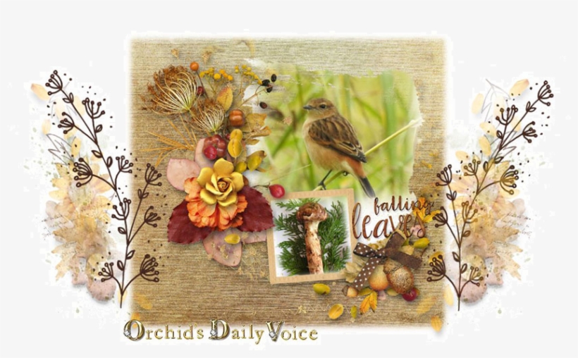 Orchids, transparent png download