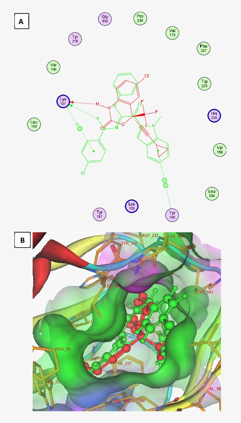 21c And Efazirenz (red) 2d (panel A) And 3d - Illustration, transparent png download