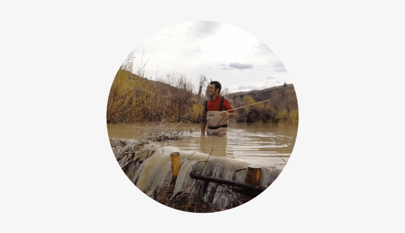 Beaver Dam Analogues - Canoe, transparent png download