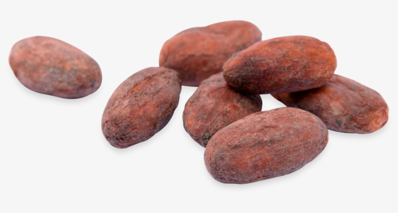 Cacao Beans - Cacao Bean Png, transparent png download