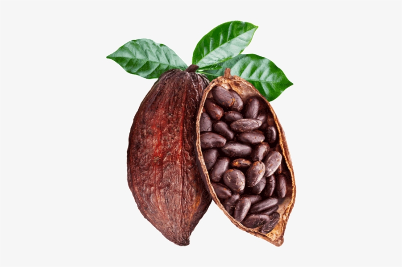 Responsibly Sourced Cocoa - Mesmara Raw Unrefined Cocoa Butter 50g, transparent png download