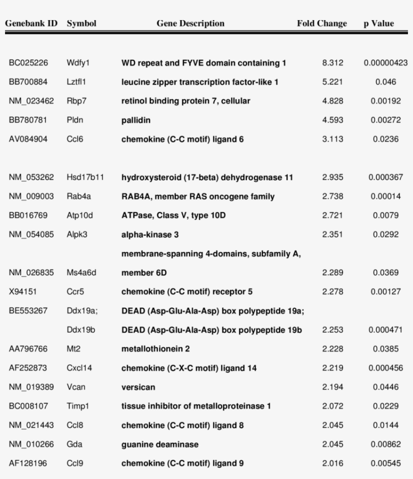 List Of Genes Of Known Function Differentially Expressed - Gene, transparent png download