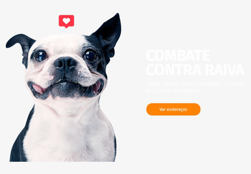 procollar inflatable collar