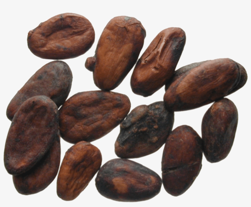 Latin America, Cocoa Beans - Kakaobohnen Png, transparent png download