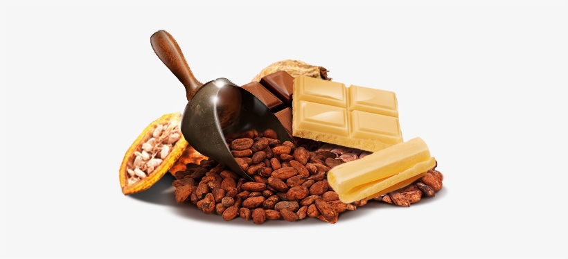 Chocolate, transparent png download