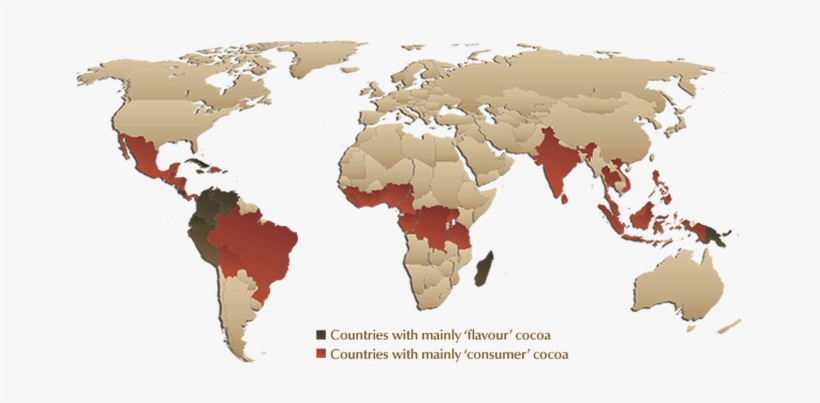 The Cocoa Tree Is Found In Hot Places - Anytime Fitness World Map, transparent png download