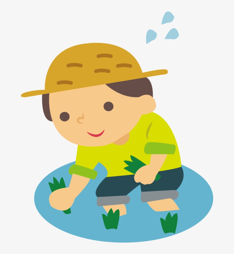 Rice Can Also Be Grown In A Bucket Or Planter At Home - Rice Planter Clipart, transparent png download