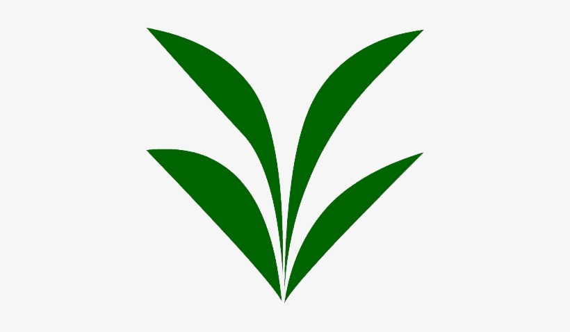 50cm, transparent png download