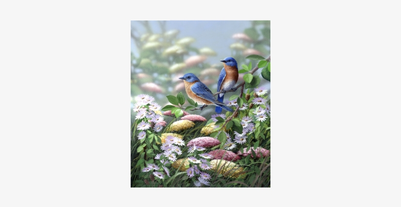 Meadow Bluebirds - Bits And Pieces Meadow Blue 300 Large Piece Round Jigsaw, transparent png download