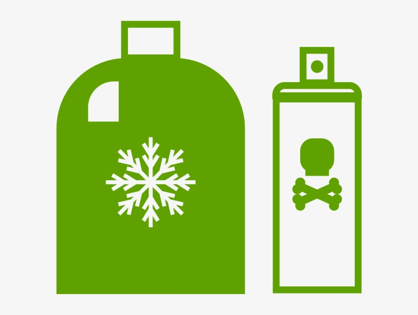 Did You Know - Snow Flower, transparent png download