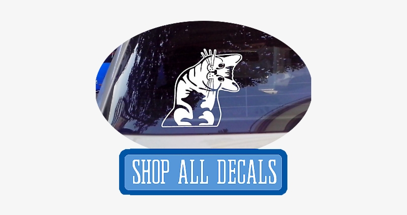 Funny Car Decals At I Love Cat Socks - Car - Cat - Whatcha Doin? - I Can Haz? - Copyright, transparent png download