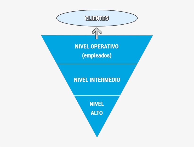Piramide Invertida Organizacional - Marketing, transparent png download