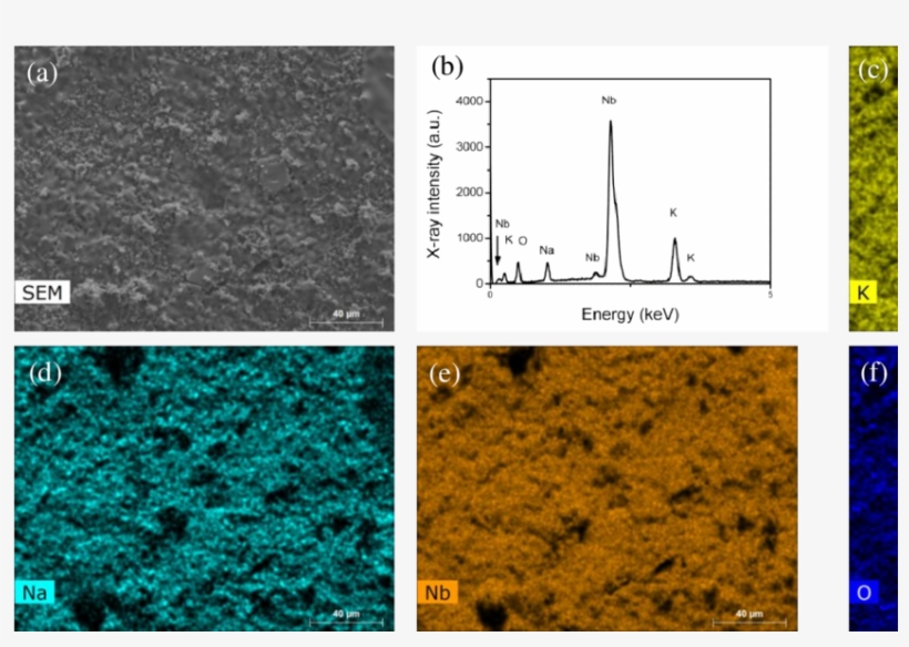 Xrd Spectra Of Polycrystalline And Textured Li - Ceramic, transparent png download