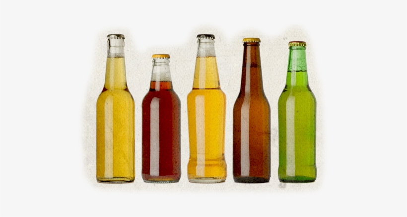 Water, Hops And Yeast For Fermentation - Empty Beer Bottles Without Labels, transparent png download