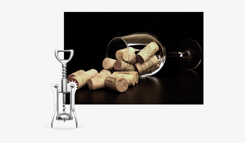 Therefore, At Wine Expo Poland We Will Be Happy To - Classic Wine Journal: A Record Of Taste [book], transparent png download