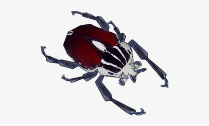 Gol - Goliath Beetle Png, transparent png download