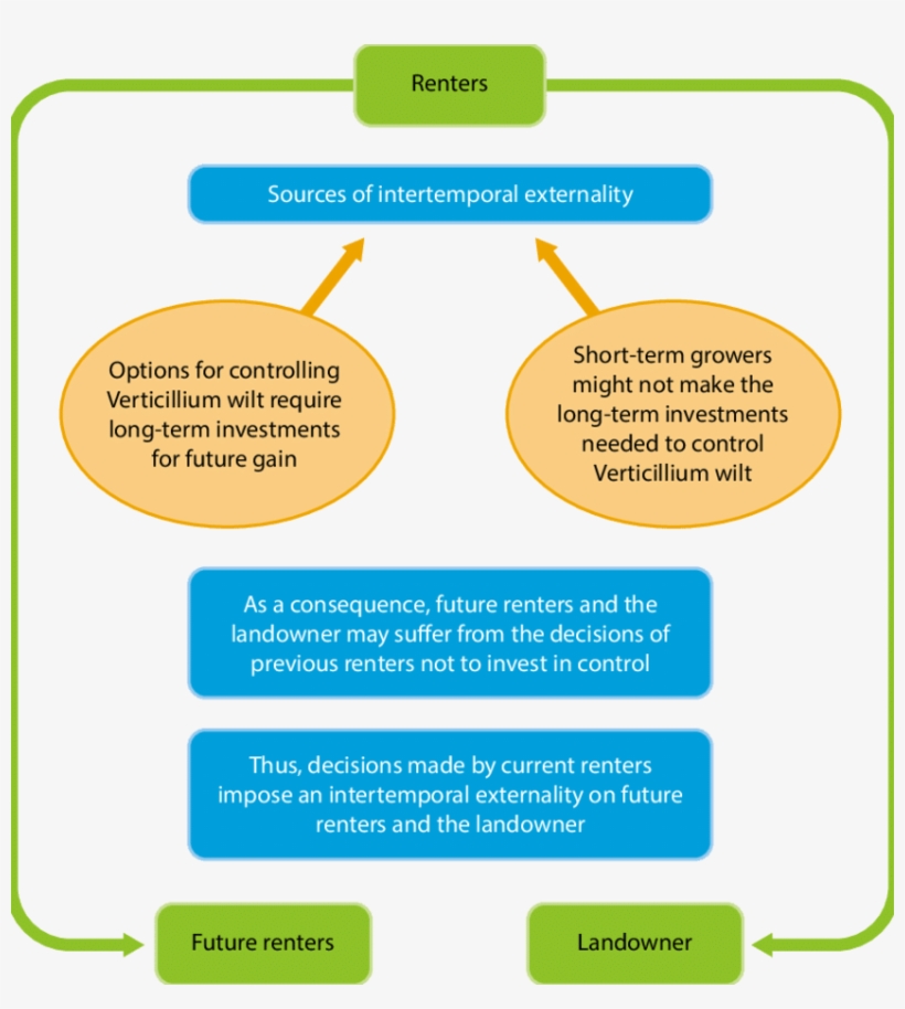 As Indicated By The Green Arrows, The Intertemporal - Renters' Insurance, transparent png download