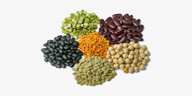 Aprender Del Entorno - All Beans, transparent png download