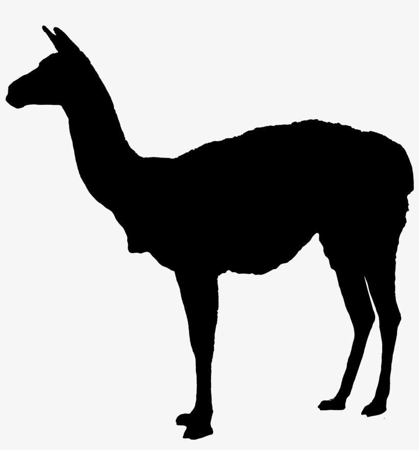 Lama-guanicoe Silhouette - Doe Silhouette Clipart, transparent png download