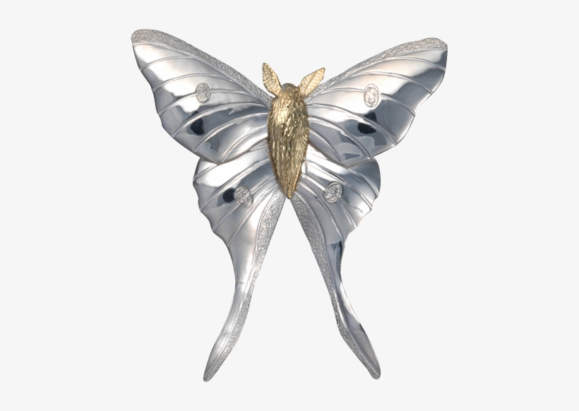 Luna Moth Pin/pendant, transparent png download