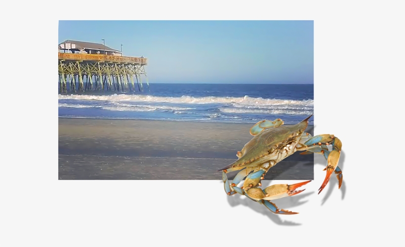 Flapjack's Pancake Cabin May Have Started In The Smoky - Chesapeake Blue Crab, transparent png download