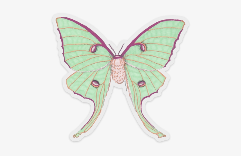 Clear Vinyl Luna Moth Sticker, transparent png download