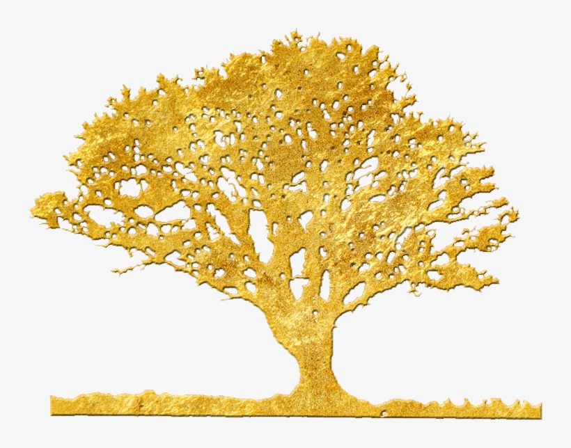 The Liquid Gold In Skincare Has Come - Argan Tree Logo, transparent png download