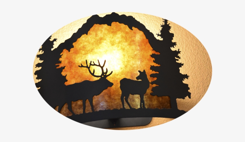 Fall River Visitors Center Rocky Mountain Gateway National - Rocky Mountains Souvenirs, transparent png download