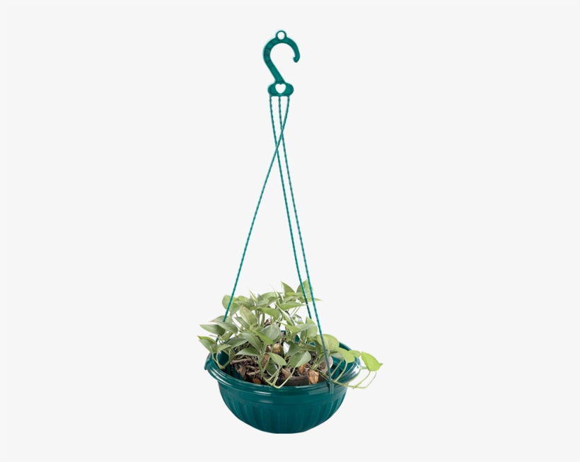 Others E 519 9 Hanging Flower Pot - Flower For Container Transparent Png, transparent png download