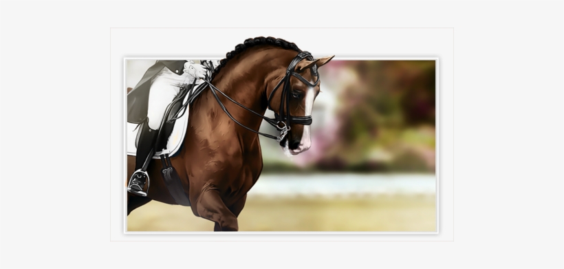 Horse Racing - Horse Photography, transparent png download