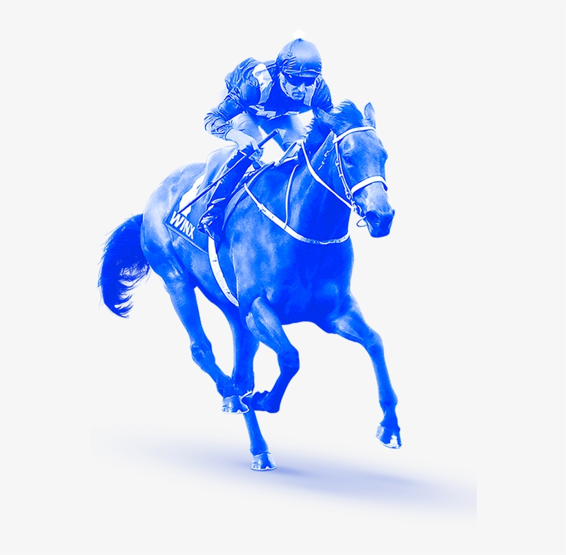 Horse Running - Stallion, transparent png download