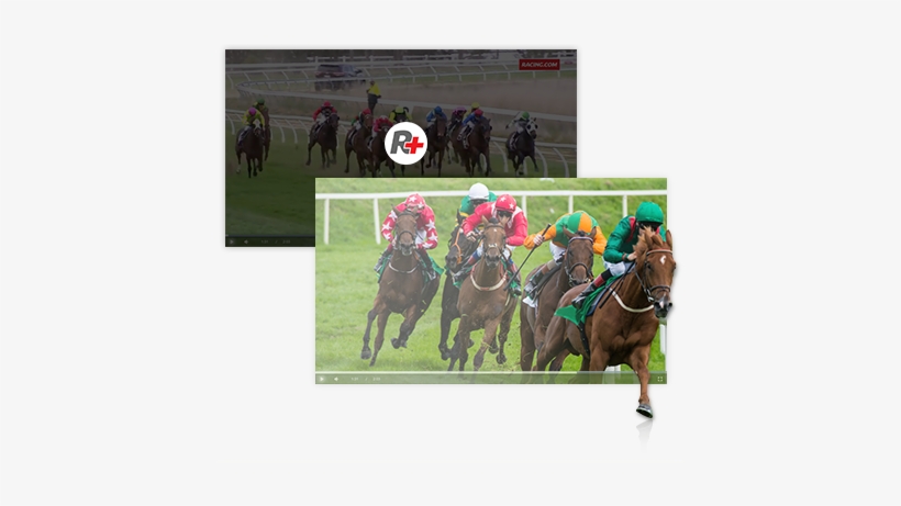 Racing Fans Can Also Watch On-demand Race Replays For - Horse Racing Shutterstock, transparent png download