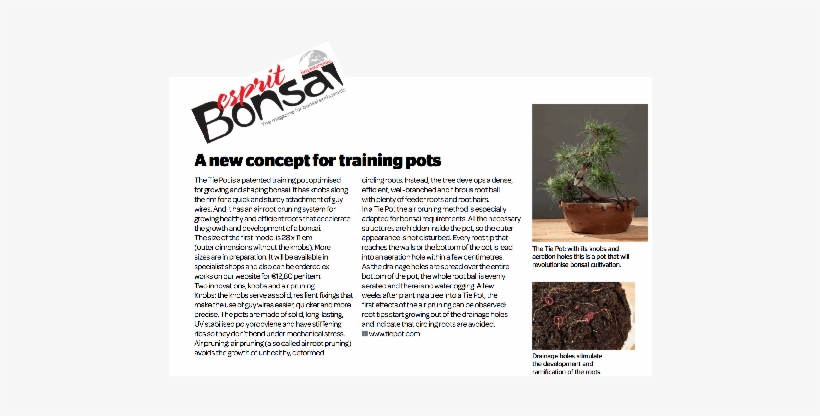 A New Concept Of Training Pots - Postural Orthostatic Tachycardia Syndrome, transparent png download