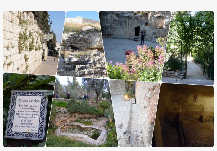 He Is Risen - Tree, transparent png download