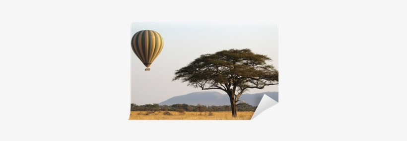 Flying Green And Yellow Balloon Near An Acacia Tree - Serengeti, transparent png download