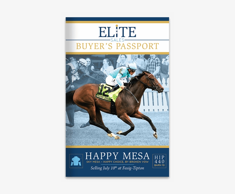 Buyer's Passports - Pitchbook Data, transparent png download