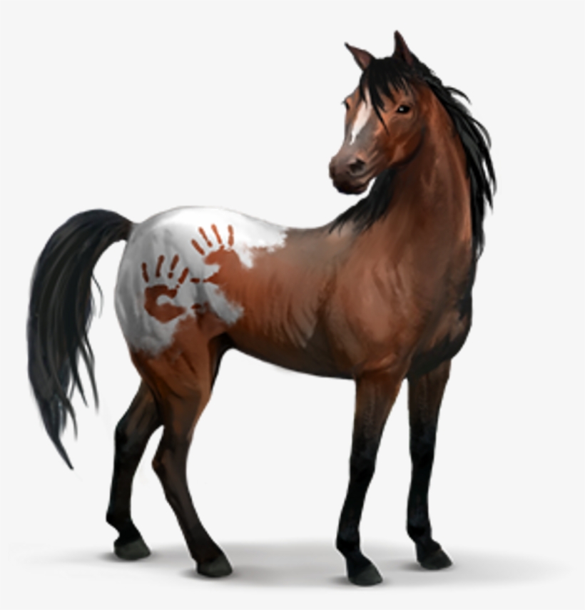 Spanish Mustang Equideow, transparent png download