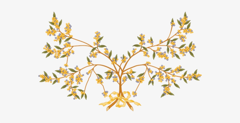 Branch Bush Tree Wattle Branch Branch Bush - Wattle Clipart, transparent png download